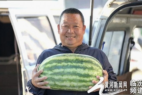 探秘17C免费版cad网站入口：体验免费设计工具与丰富影视资源