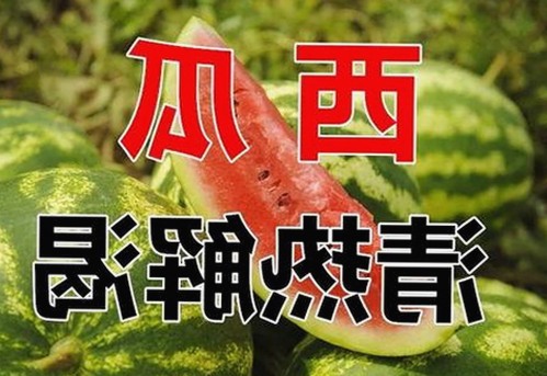 全面解析樱花视频官方版正版下载：最新资源与使用指南