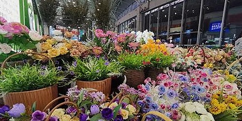 爱液视频最新版下载：最新资源介绍与安全指南