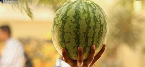 17.c.now,起草最新版带来最新动态与改进措施