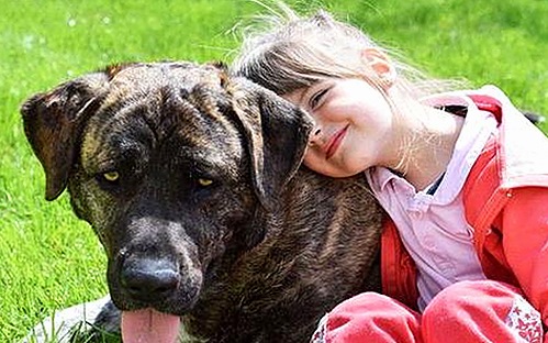 盘点十大黄色软件官方版：娱乐内容与安全保障并重