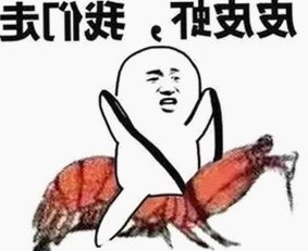 揭秘已满十八免费高清完整版电视剧官方版下载的最新动态