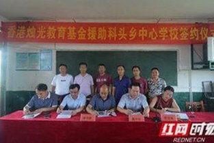 揭秘“91免费官方版正版下载”的全新体验与实用功能