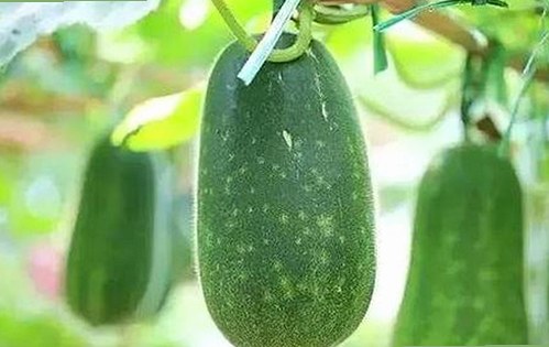 探索www.91色 萝网站樱花最新版的最新动态与功能