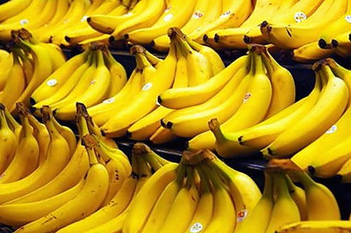 海口市17c.一起草🌿在线观看免费蓝莓视频官方版揭秘