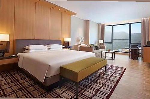 探索91香蕉视频官方版免费版：安心体验的最新选择