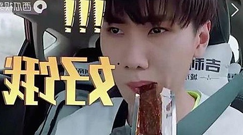 揭秘成人网免费官方版的现状与发展趋势