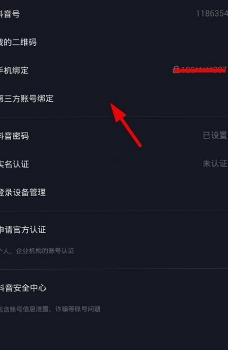 探索www91官方版：成人内容与多平台下载的现状与争议