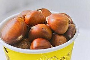 关于91免费免费版下载的详细介绍与资源获取指南