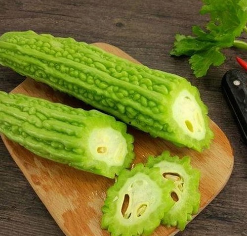 最新动态：91免费最新版下载带来丰富的娱乐内容体验