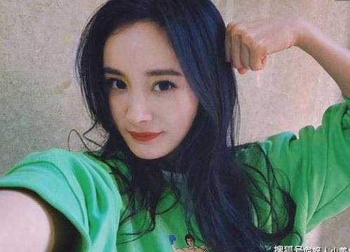 关于菠萝视频的最新动态与相关资源介绍