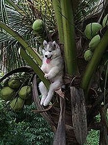 探索91视频网站：从官方版到免费资源的多元选择