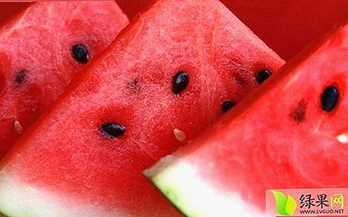 探索18馃埐官方版下载免费版：优质资源的最新选择