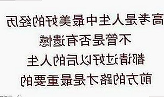 最新91n官方版上线，尽享多样内容与高清体验