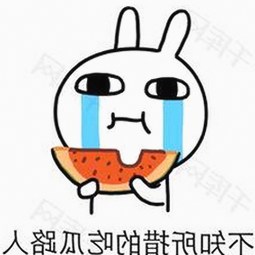 从娱乐圈到网络新动态：高清🈚码🔞❌♋毛片官方版引发热议