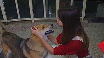 吴忠市最新破解：免费观看45分钟高清电视的软件免费版带来新体验