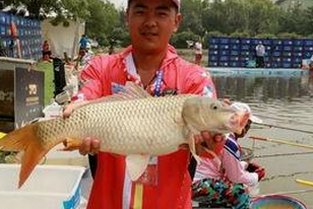 乌海市粉丝关注：黑料 官网免费版下载揭秘明星幕后故事