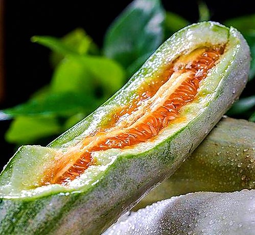 轻松获取菠萝TV免费版下载，畅享高清内容新体验