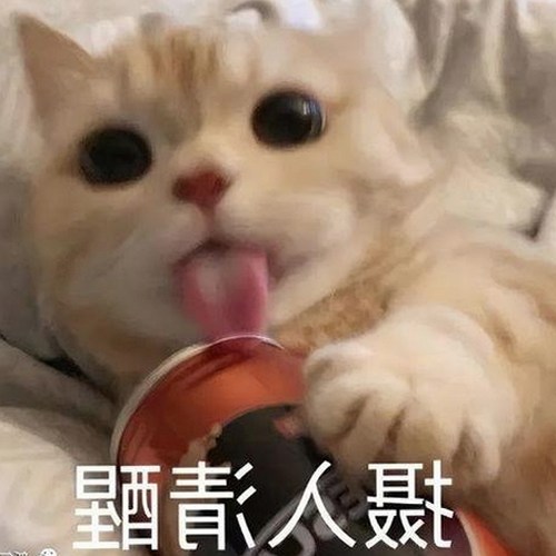 9+1视频免费官方版：体验全新高清视界的对比与变化