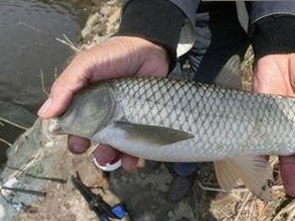 最新上线：已满十八岁电视剧完整版免费版官方版全解析