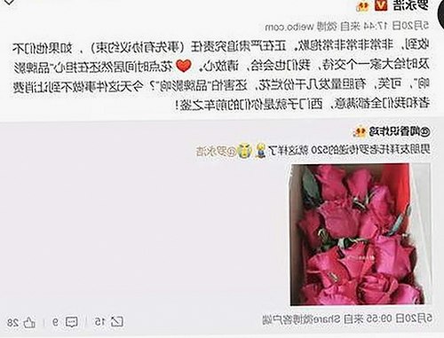 妖精动漫官方版最新上线，带来全新体验与资源下载指南