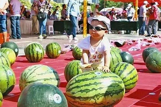 探索www.91免费版：长春市用户如何轻松获取高清影视资源