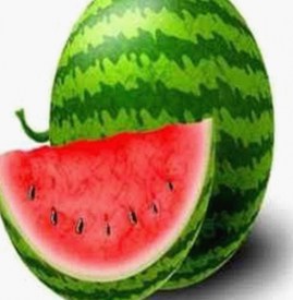 9.1免费网站nba入口：最新动态与实用指南