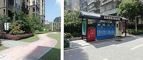 全面解析：嫩草17.c 91免费版下载的最新动态与内容对比