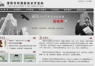 关于9.1免费视频免费版官方版的全面解析与最新动态