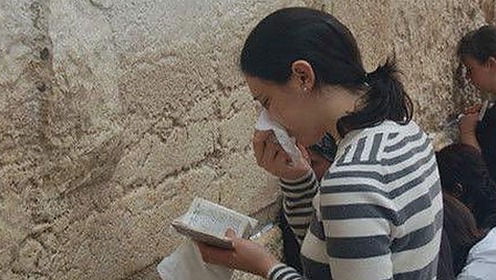 关于9.1免费视频免费版官方版的全面解析与最新动态