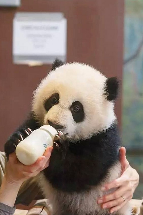 威海市用户热议：17c.一起草🌿在线观看免费免费版官方版最新体验