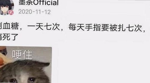 全面解析：看片官方免费版的最新发展与应用