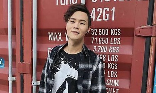 全面解析：看片官方免费版的最新发展与应用