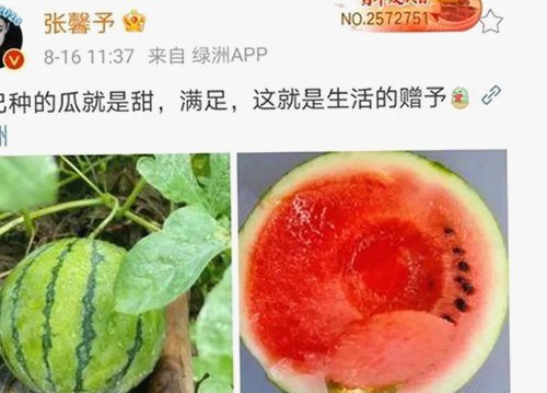 探索www.色😍萝网站17c官方版免费版的最新内容与相关资源