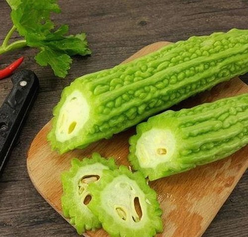 探索池州市用户如何使用91n免费版获取高清影视资源