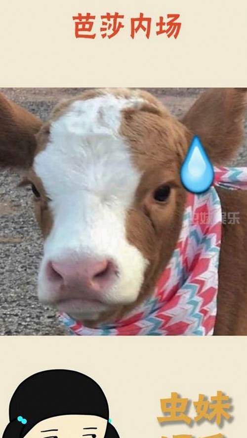 从网络到现实：🔞🍌进🍑里❌❌❌面最新版下载带来的变革