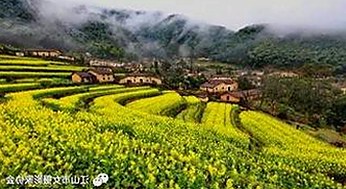 最新动态：www.199麻豆免费版官方版全面升级，满足多样观影需求