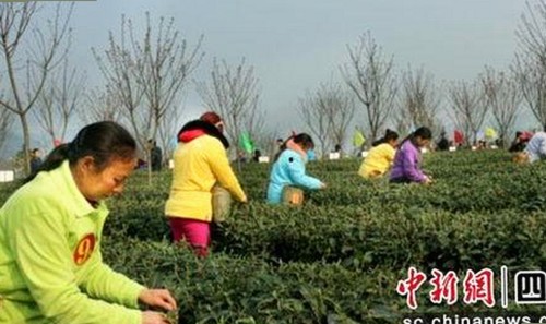 贵阳市用户热议：91下载与免费版的最新动态