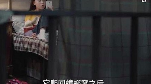 爱爱网官方版：最新动态与相关内容解析