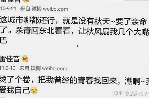 探索爱爱网免费版下载的便捷与多样选择