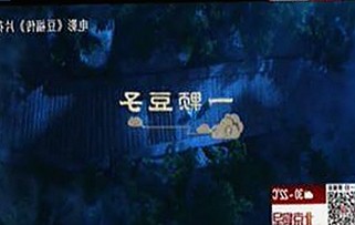 91n引发热议：最新免费版下载资源详情解析