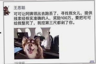 最新高清🈚码🔞❌♋免91免费版现已上线，畅享无限资源