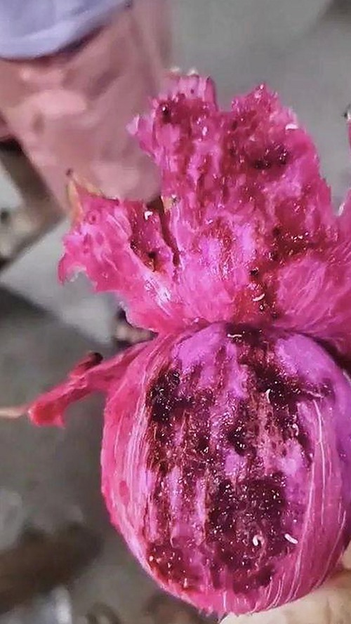小🐔🐔伸进🈲🔞🔞A安装包下载：最新资源介绍与动态分析