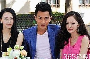 揭秘桃花视频官方版免费版：观看体验与最新动态