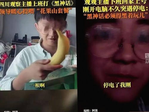 关于免费的网站www下载的全面指南