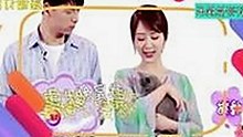 快猫最新版下载带你畅享高清资源新体验