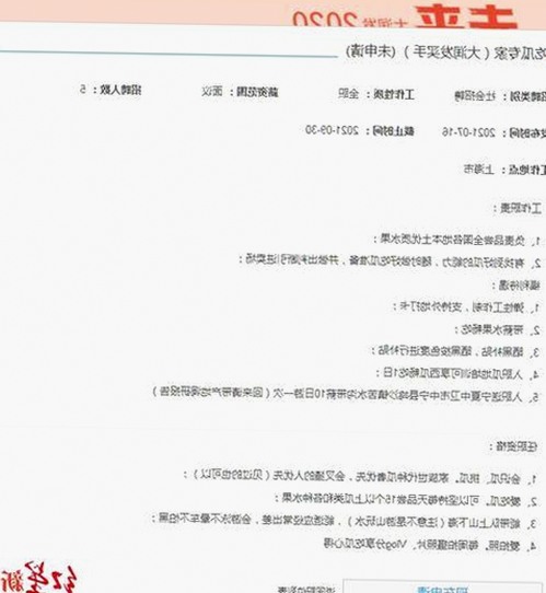 西瓜视频免费最新版下载：畅享高清内容体验，轻松获取各类资源