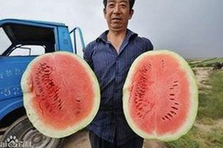 已满十八免费高清完整版电视剧官方版：探索最新影视资源与观看体验