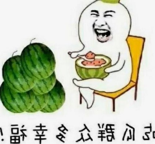 从旧版到最新：www91官方版的演变与变化
