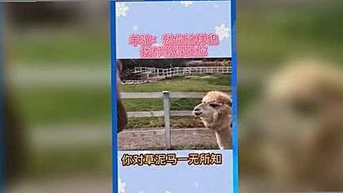 从旧版到最新：www91官方版的演变与变化